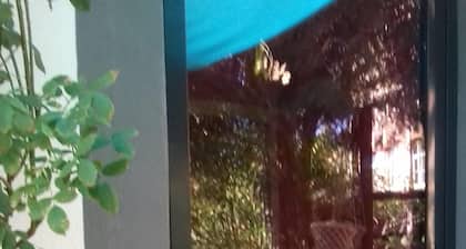 On the Wine Route Studio between Strasbourg and Colmar