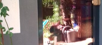 On the Wine Route Studio between Strasbourg and Colmar