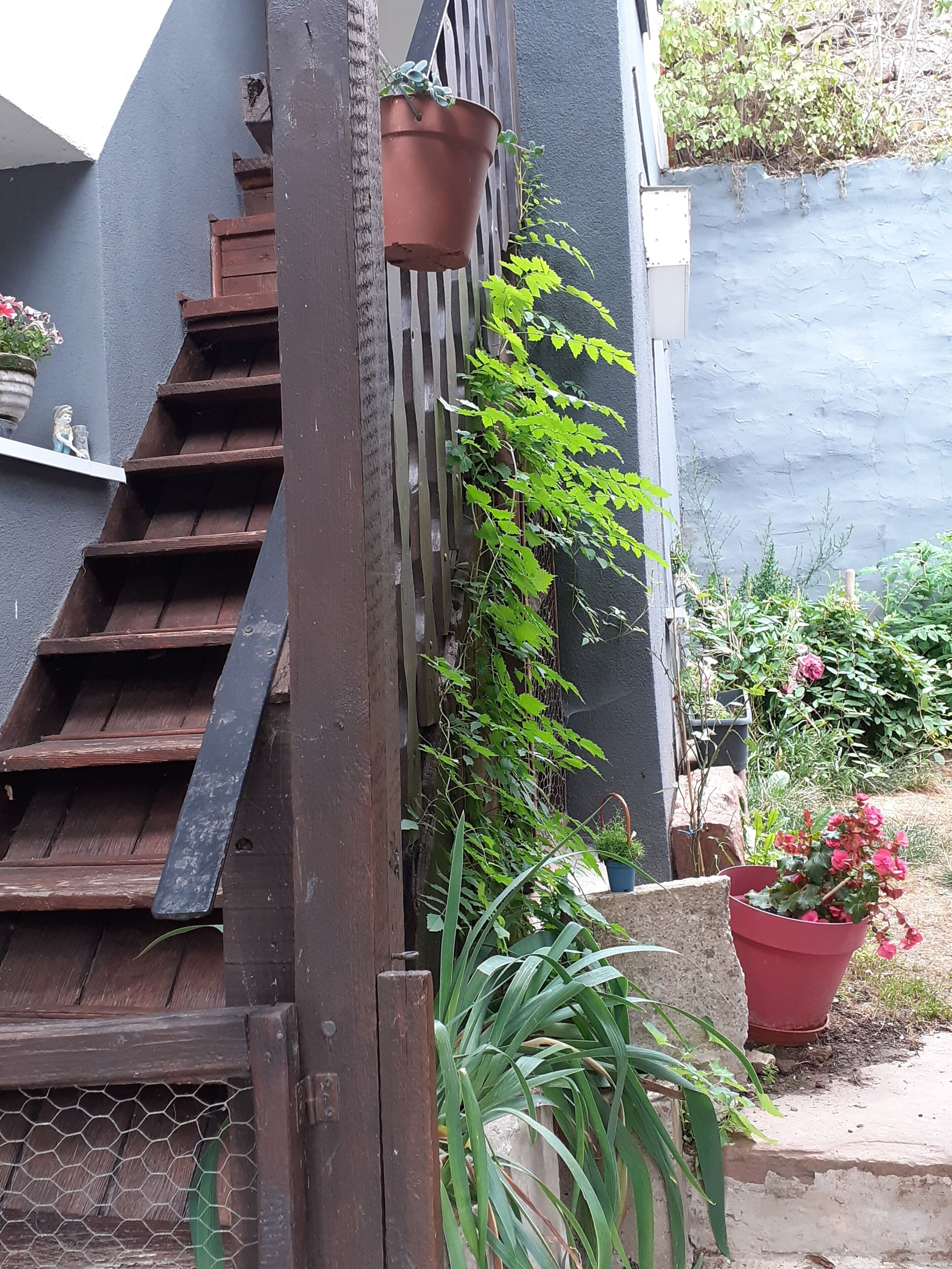 Uma escadaria de madeira com corrimão de metal, um vaso de planta e uma área de jardim com diversas plantas e flores.