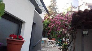 Terras