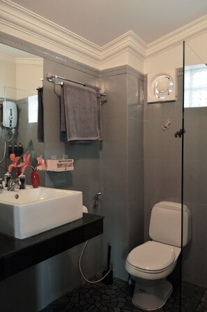 Combined shower/bathtub, hair dryer, towels, soap