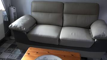 Televisión, reproductor de DVD y libros