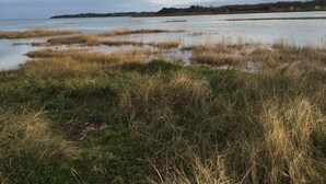 Paesaggio costiero con una zona umida in primo piano e una linea di costa in lontananza.