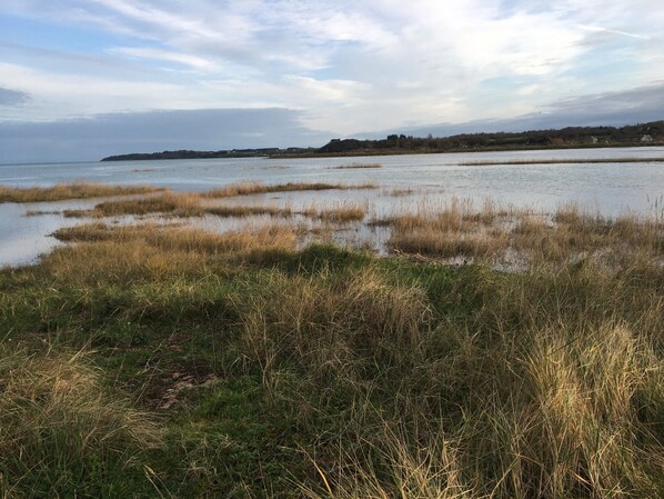 Un paysage côtier avec une zone marécageuse au premier plan et une ligne de côte lointaine.