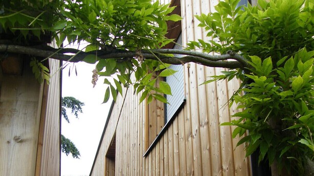 Una scala in legno conduce a un edificio rivestito in assi verticali di legno.