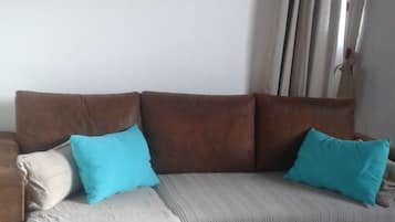 Télévision, cheminée, lecteur de DVD