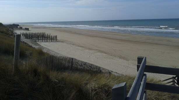 Ein Strand mit Holzzaun und grasbewachsenen Dünen.