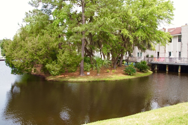 Feed turtles or fish in our neighborhood Lagoon