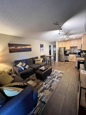 Smart TV, fireplace, DVD player, books