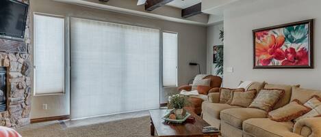 TV, fireplace, DVD player