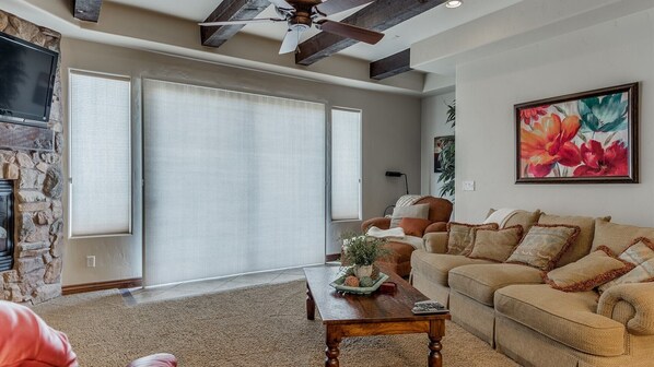 TV, fireplace, DVD player