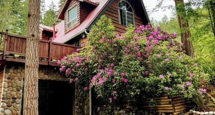 Romanttinen saari pääsee pois / Waterview / Real puun tulipalo / kylpytynnyri / lemmikkieläinystävällinen