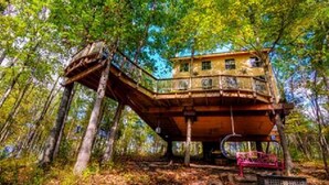 A treehouse with a wooden structure, built into a forested area with dense foliage. - Stay in Tree House built by TreeHouse Master Pete Nelson ~ off the grid (Germantown)