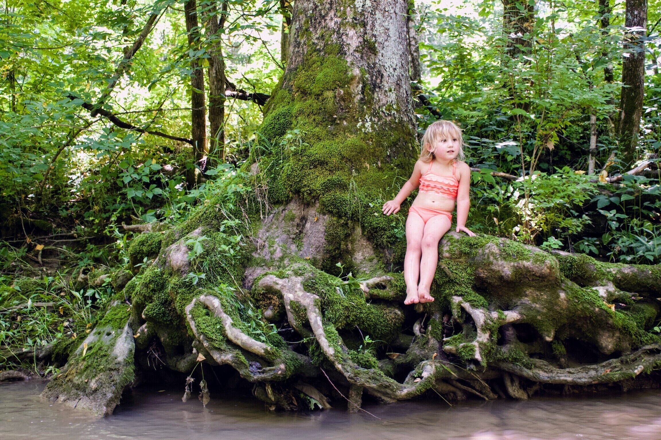 A child sitting on a moss-covered tree branch in a forest.