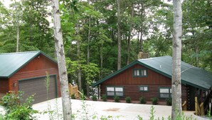 Une cabane dotée d’un toit végétalisé et de murs en bois, entourée de grands arbres et bordée d’une allée bien dégagée.