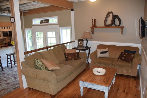 TV, DVD player, books, video library