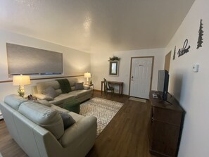 Télévision, cheminée, lecteur de DVD