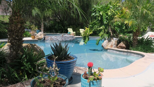 Una piscina rodeada de macetas con plantas y rocas.