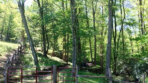 A forested area with a wooden fence and a metal gate. - Red Tiny House In The Mountains - waterfall, jacuzzi and stunning farm views (Clayton)