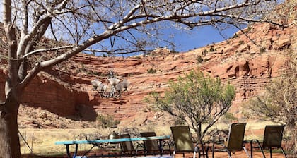 ¡Gran base de operaciones cerca de Zion, Bryce, Grand Canyon, Lake Powell y Best Friends!