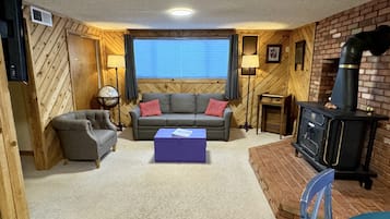 TV connectée, cheminée, Netflix, livres