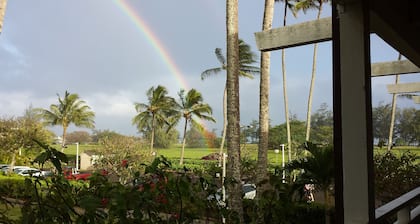 ALOHA - AUTHENTISCHE HAWAIIAN STYLE CONDO, 1 Zim. / 1Badezimmer C-29