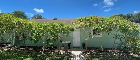 A house with a green exterior, a white door, and a sign reading "Ice Laundry".