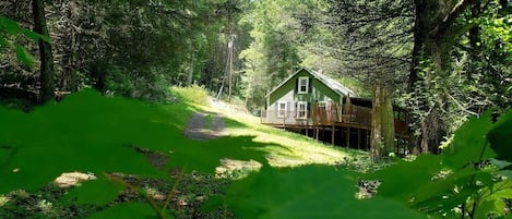 Une cabane au milieu d’une forêt, dotée d’une terrasse et d’un sentier menant à elle.