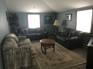 Smart TV, chimenea, reproductor de DVD y libros 