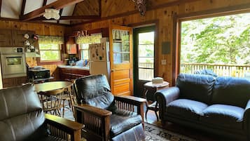 Smart TV, fireplace, DVD player, books