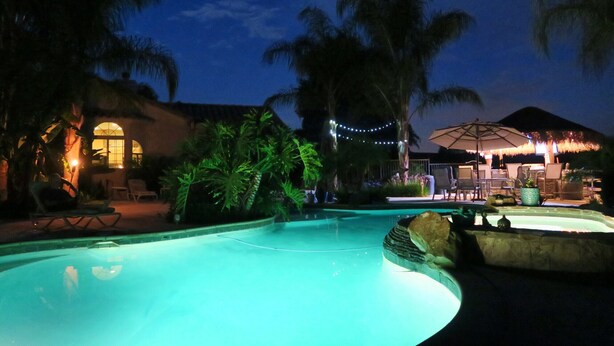 A swimming pool with a curved edge, surrounded by palm trees and a building with a thatched roof. - Temecula Wine Country Guest House w/Kitchen - Prime Location (Temecula)