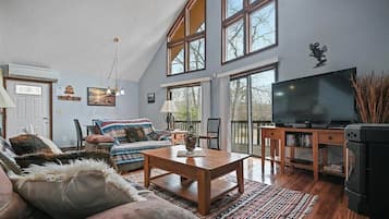 Smart TV, fireplace, DVD player, video library