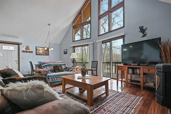 Smart TV, fireplace, DVD player, video library