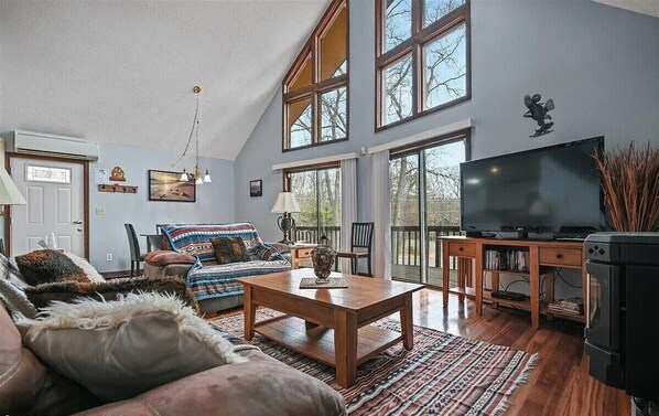 Smart TV, fireplace, DVD player, video library