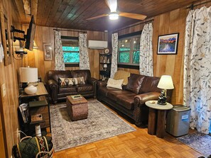Smart TV, Netflix, books, streaming services - Relax at Clear Creek Family Retreat – Cozy Ellijay Cabin by the Water (Ellijay)