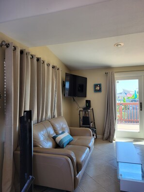 Smart TV, DVD player, books, video library