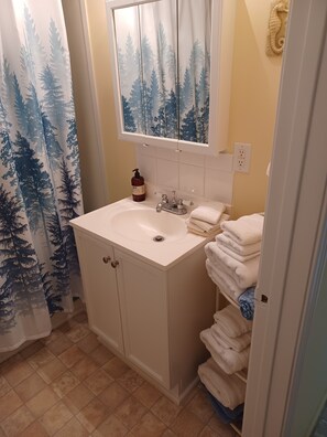 Ensemble douche/baignoire, sèche-cheveux, serviettes fournies, savon