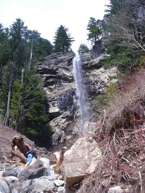 Property grounds - Cascade Mountain Getaway (Rockport)