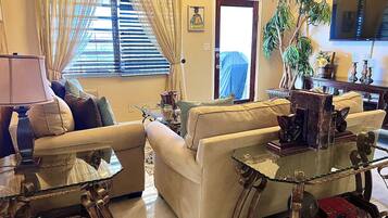 TV, DVD player, books, music library