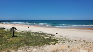 Een strand met een steiger, zandstrand en schaarse begroeiing.