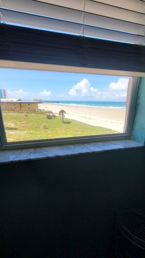 Une vue depuis une fenêtre sur une plage, avec une zone herbeuse et un palmier.