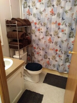 Suihkun ja ammeen yhdistelmä, hiustenkuivaaja, pyyhkeet, saippua