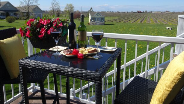 A table with a bottle of wine, glasses, and a plate of cheese on a balcony overlooking a vineyard.