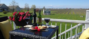 Fabulous Guesthouse B & B Located In The Heart Of Vineyard Country!