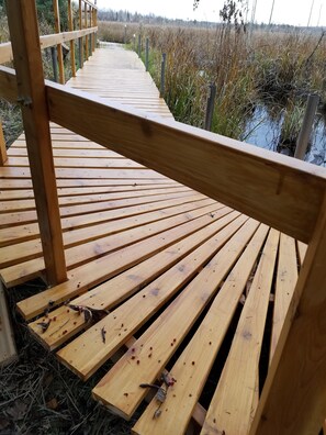 Property grounds - Spiral Staircase Leads To The Lofted Bedroom With Wall To Wall Knotty Pine. (McGrath)