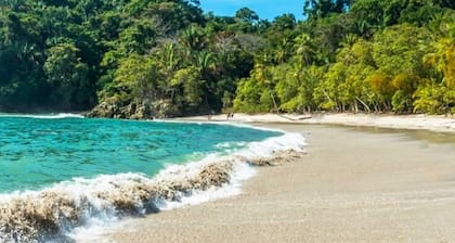 Studio Lit King-Size dans la Jungle - Jacuzzi, balcon avec vue magnifique, piscine, toboggan aquatique