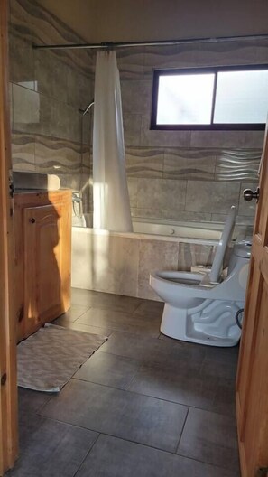 Combined shower/bathtub, hair dryer