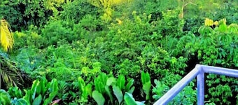 Studio met Kingsize Bed in Jungle - Jacuzzi, Balkon met Geweldig Uitzicht, Zwembad, Waterglijbaan