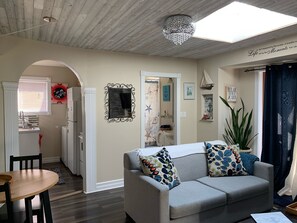 Smart TV, fireplace, DVD player, books