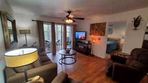 Flat-screen TV, video games, DVD player, books